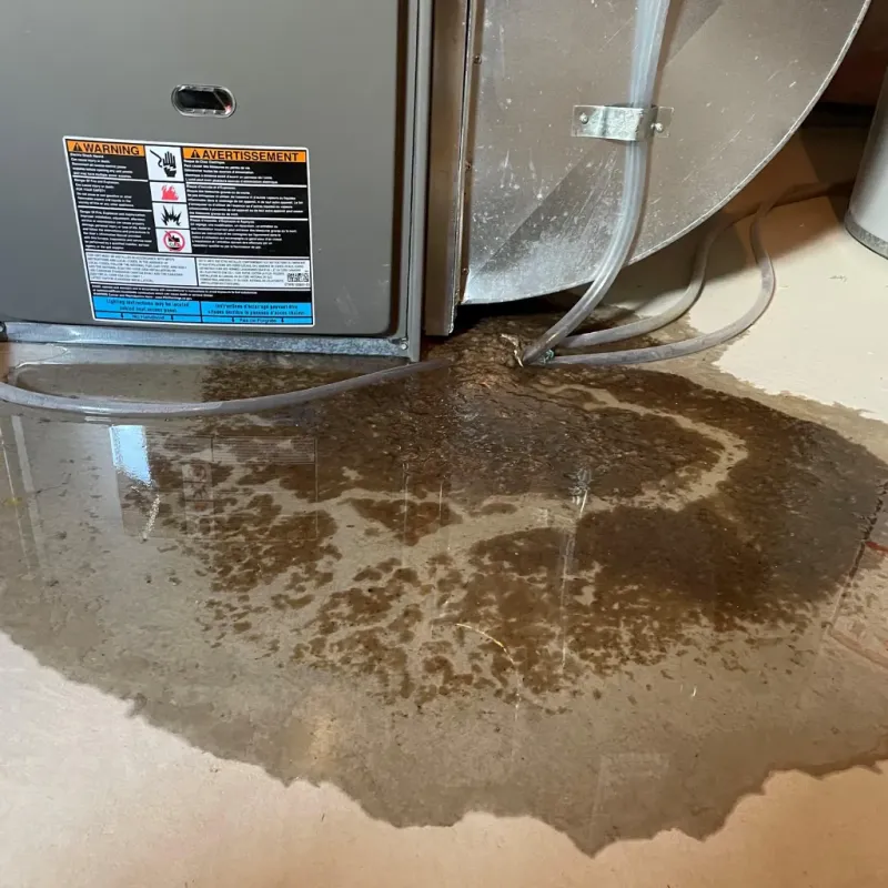 Appliance Leak Cleanup in King City, MO