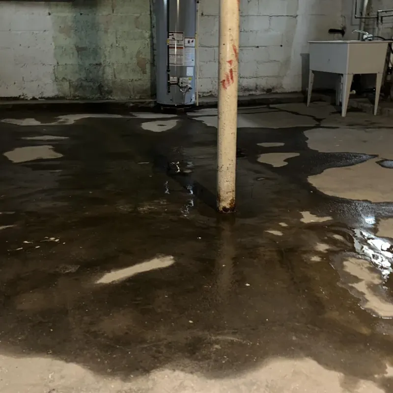 Emergency Water Extraction And Removal in King City, MO